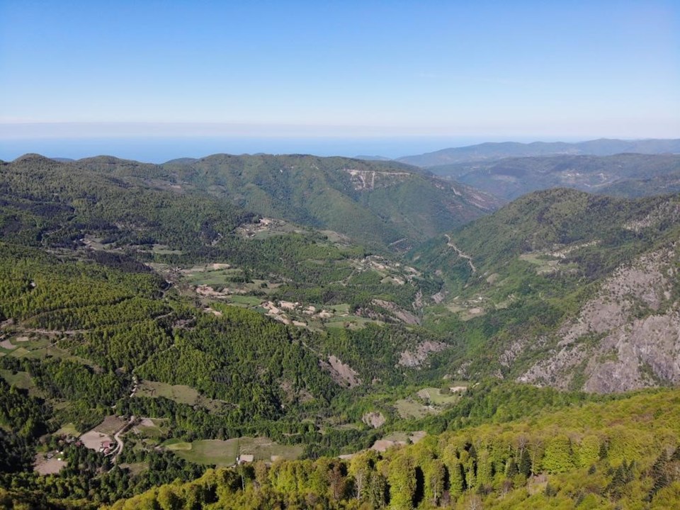 Kastamonu ve Sinop'ta ormanlık alanda mangal yasağı - 1