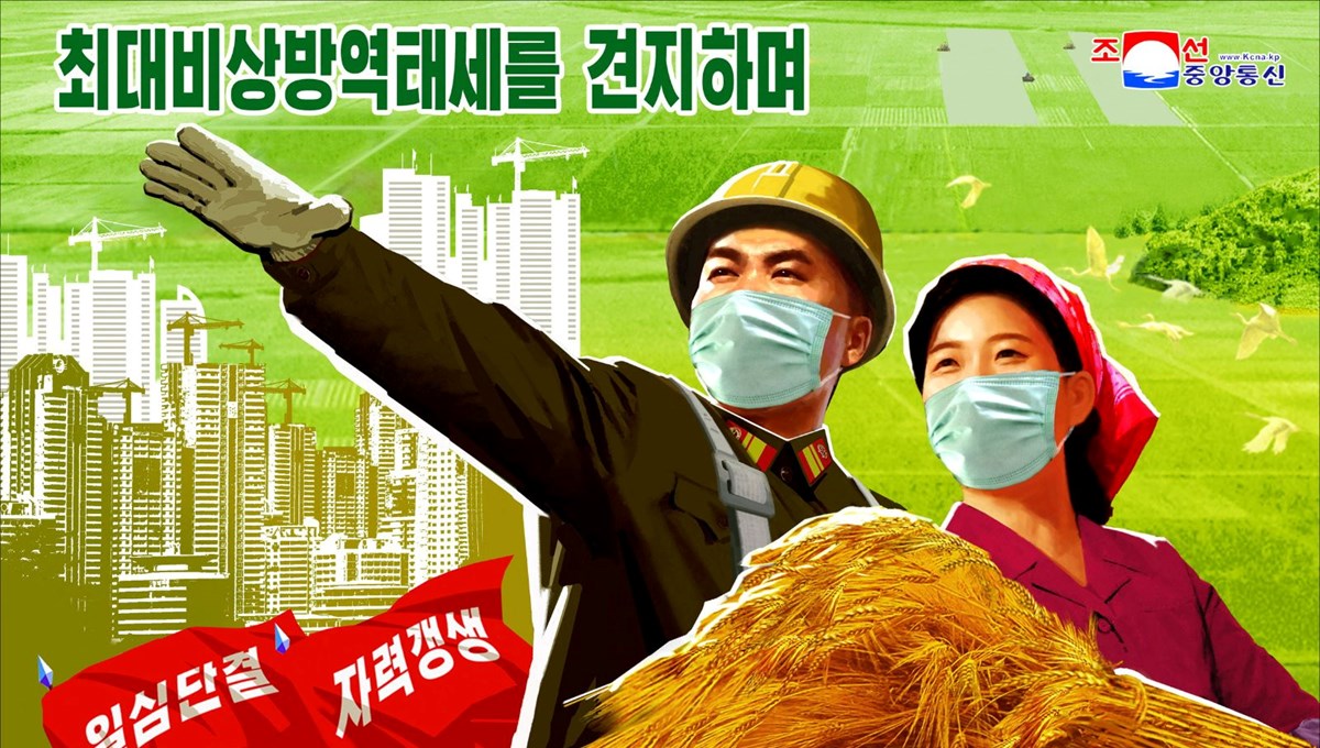 Kuzey Kore’de salgına karşı askeri afiş