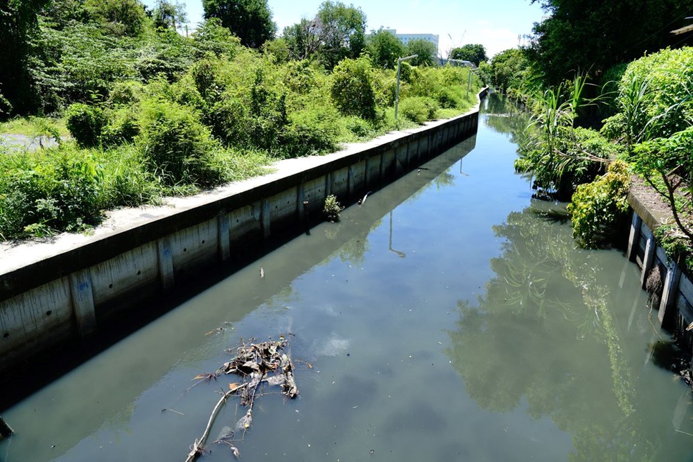 Mikroplastik tehlikesinin su altı yaşamına verdiği zarar ilk kez ortaya konuldu: Balık popülasyonlarının yüzde 60'ı tehlikede - 1