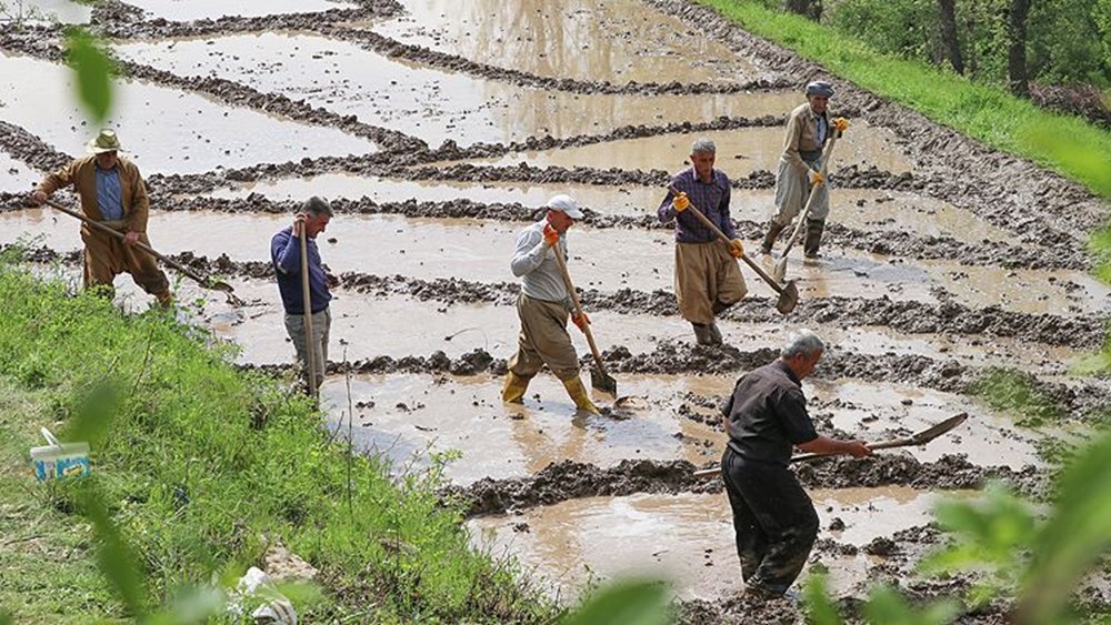 Çukurcalı çiftçiler 'Zap' ile tanınacak - 2