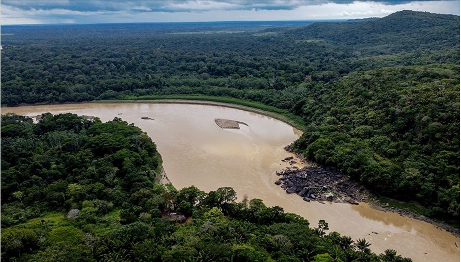 Araştırma: Amazon Ormanları'nın neredeyse yarısı 2050'ye kadar yok olabilir