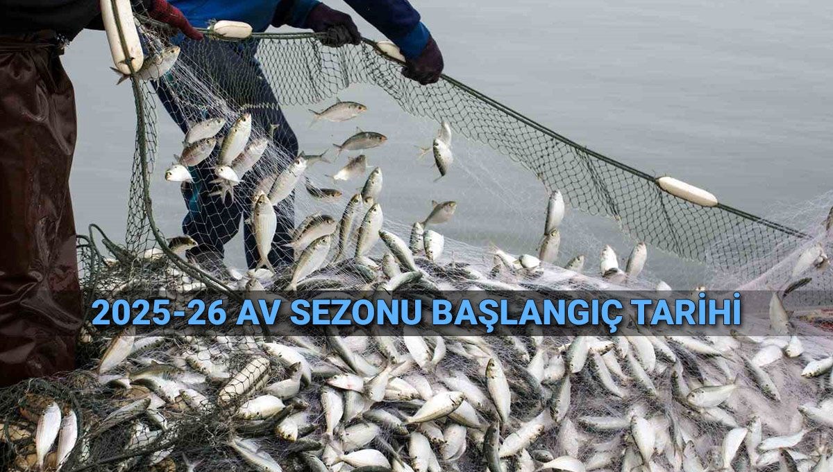 Balık sezonu açılıyor! Denizlerde av yasağı ne zaman bitiyor?