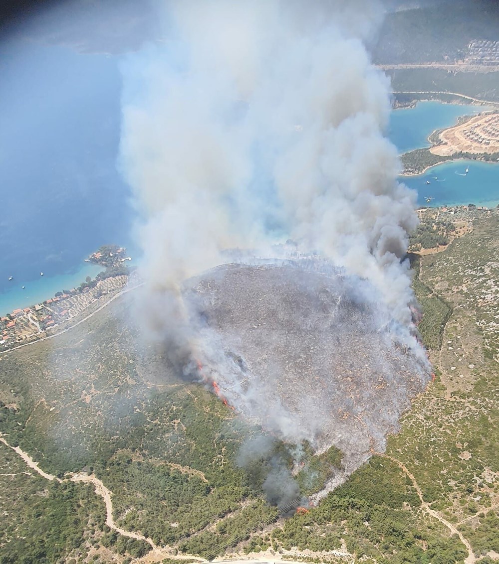 İzmirdə meşə yanğını: Müdaxilə davam edir - 4