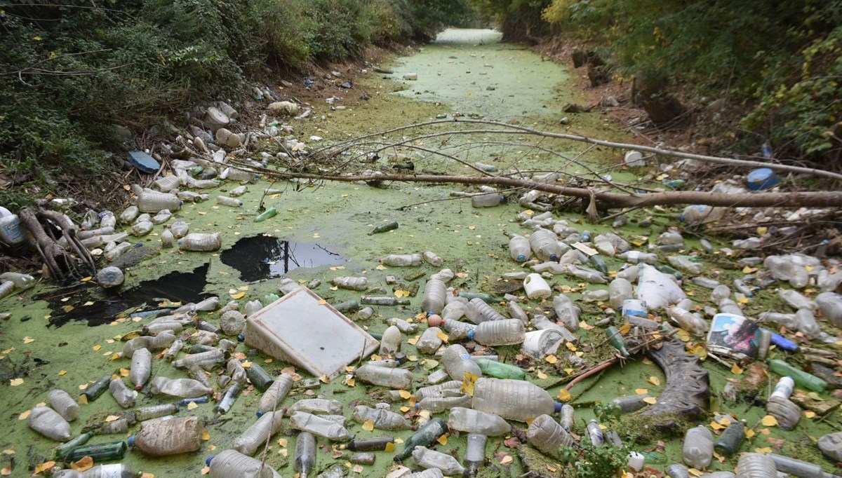 Kuraklıktan yeşile bürünen Bayır Deresi, çöplüğe döndü