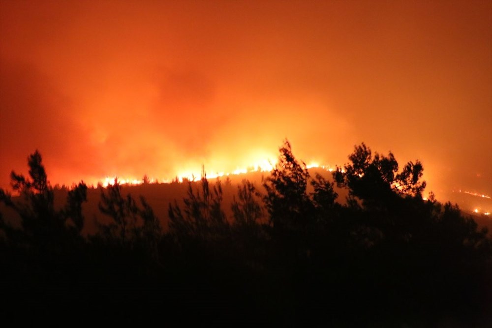 İzmir'in Menderes ilçesindeki yangına bir gözaltı - 27