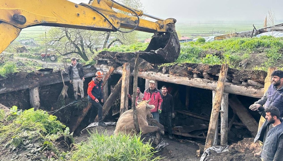 Ardahan'da ahır çöktü Ardahan'da ahır çöktü