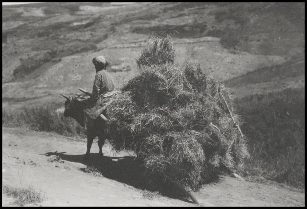 Bilim kurgu değil Türk boylarının 111 yıllık fotoğrafları. Gizemli heykeller, gelişmiş aletler, tanıdık kıyafetler (106 fotoğrafla gizemli Türk tarihi) - 62