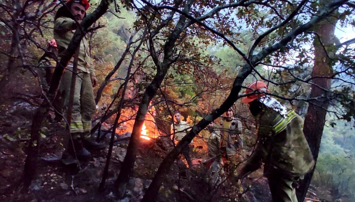 Muğla’da düşen yıldırımlar 36 noktada yangın çıkardı