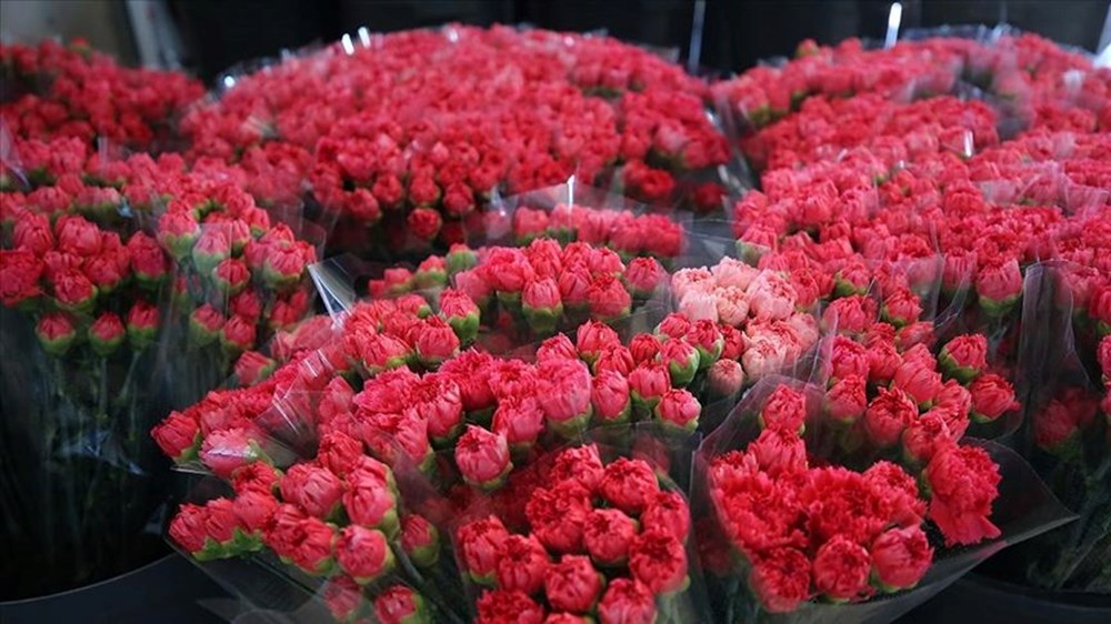 2025 Anneler Günü Geri Sayımı: Annenizi Kutlamaya Hazır mısınız? 74 M1KNNkLRXU2DoS88laWjfg