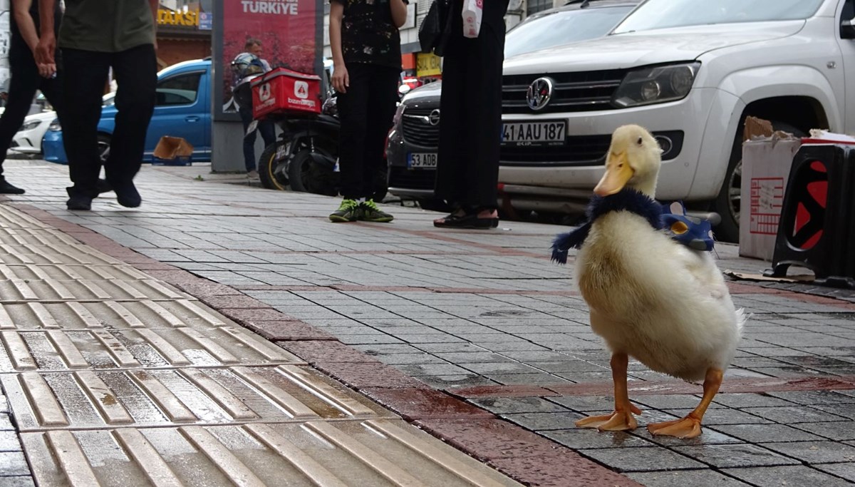 Caddenin maskotu oldu: 
