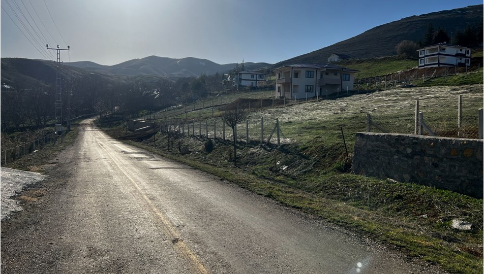 Çoban köpekleri saldırdığı adamı öldürdü