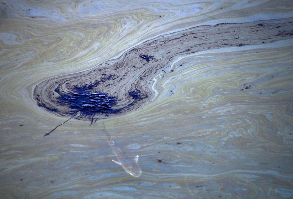 California’da çevre felaketi: Sahil petrolle kaplandı - 4