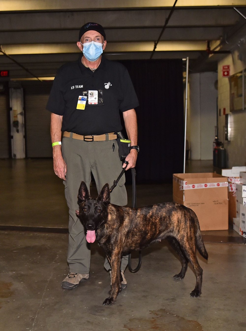 Sporda yeni dönem: Köpekler Covid-19’u kokladı, 2 bin kişimaç izledi - 20