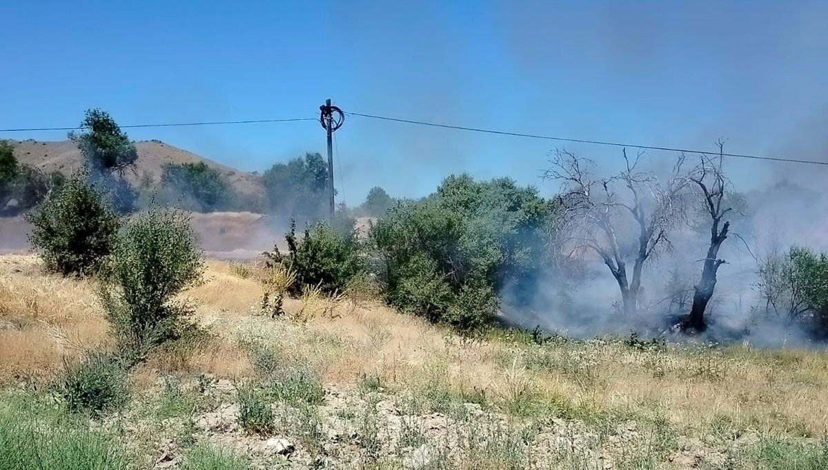 Elazığ'da yangın: Onlarca dönümlük alan kül oldu