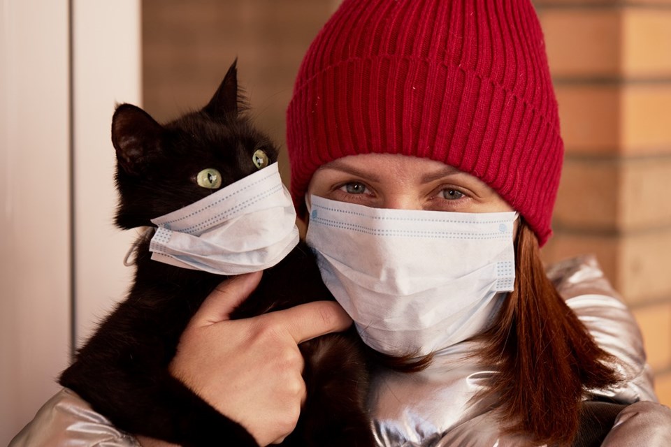 Araştırma: Evcil kedi ve köpeklerde corona virüs yaygın olarak görülüyor - 2