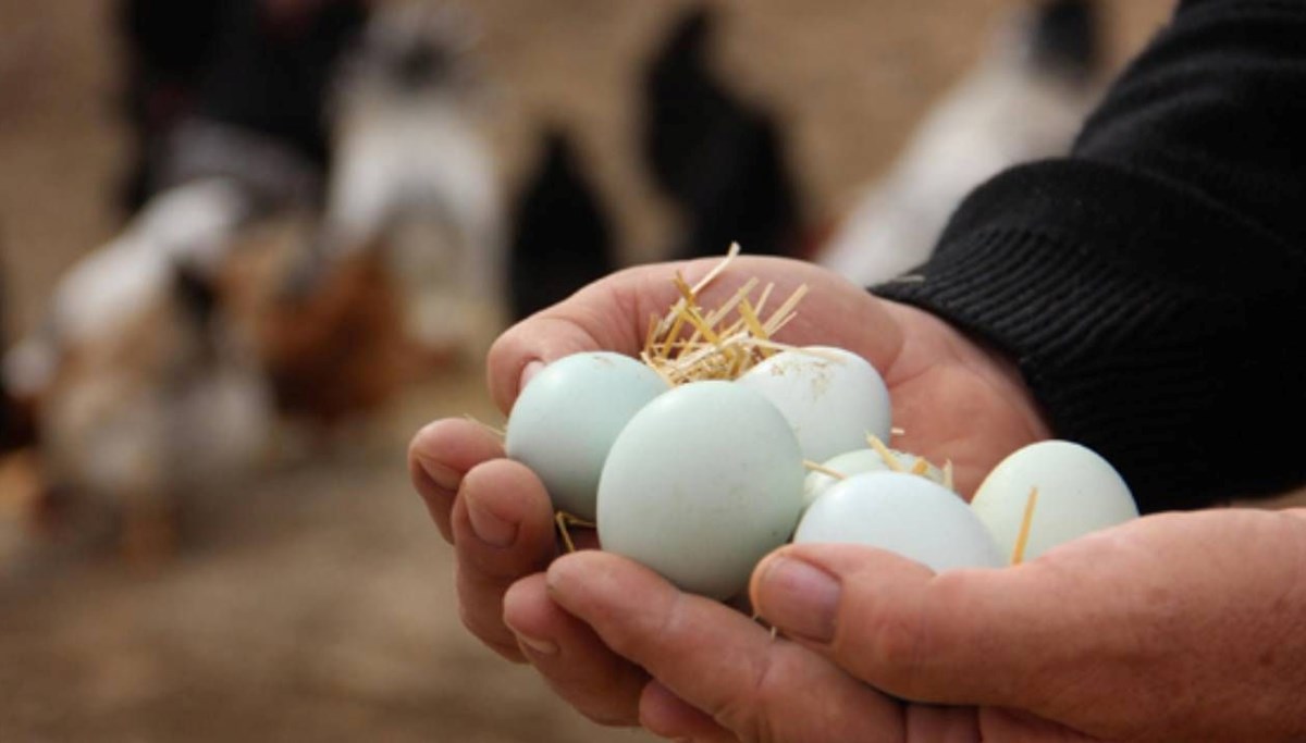 Yumurta satışında yeni dönem