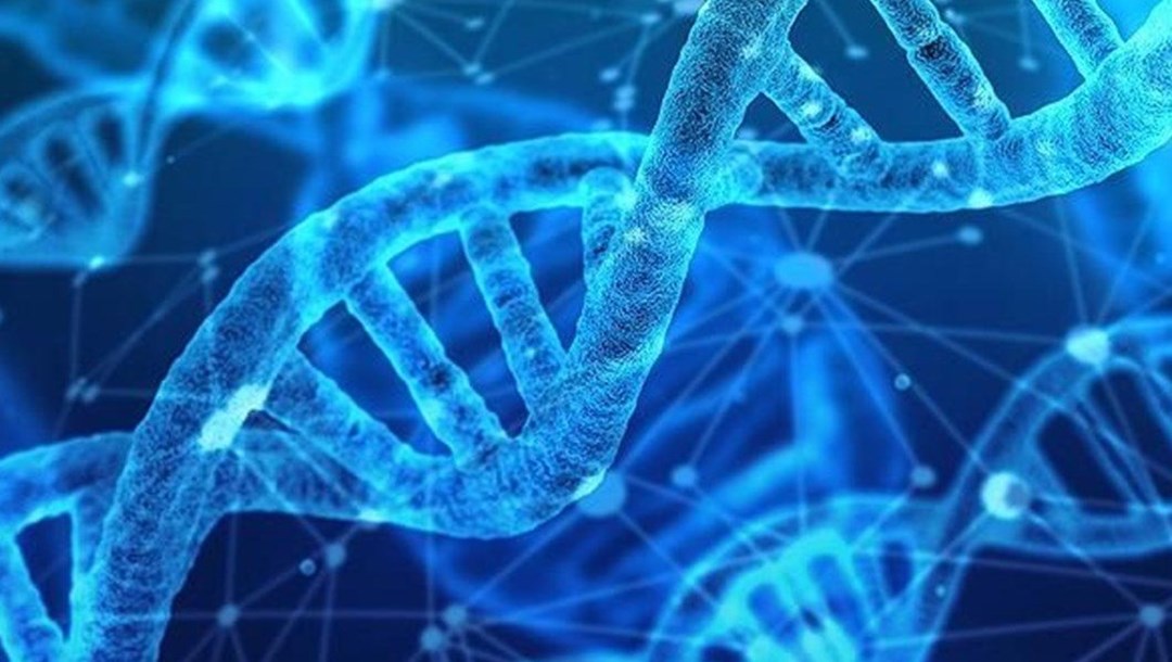 Yaşlanmayı geciktirebilecek gen tedavisi geliştirildi