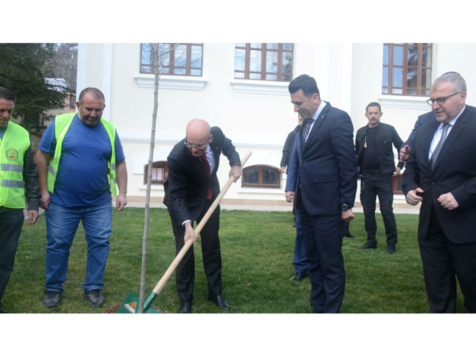 Hazine ve Maliye Bakanı Şimşek, Bilecik'te çınar fidesi dikti