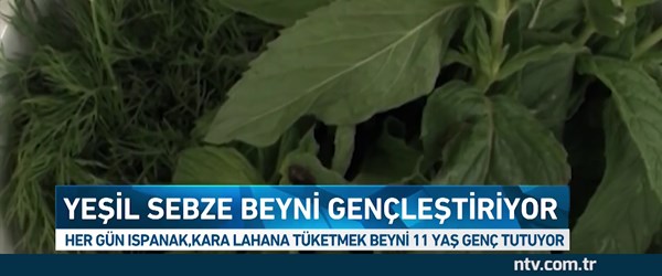 İşte beynimizi 11 yaş gençleştirmenin yolu