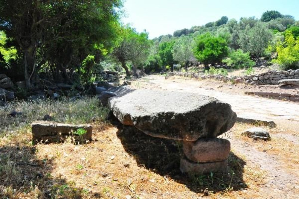 Aigai Antik Kenti'nde 3 bin mezar: Ortalama yaşam 40-45 yıl - 17