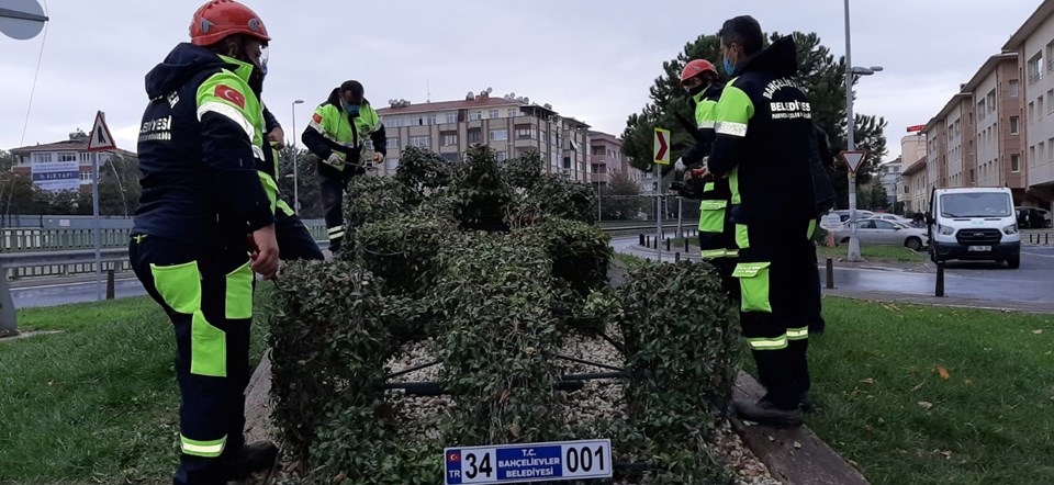 Sarmaşığın hayat verdiği F1 aracına büyük ilgi - 1