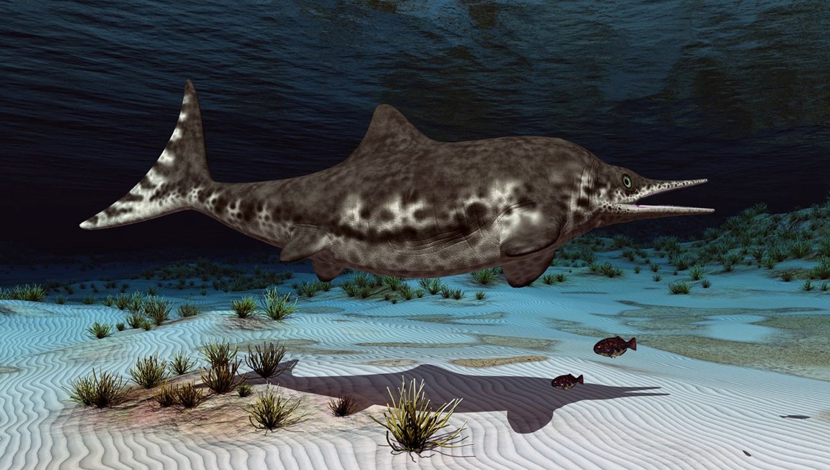 Şili’de 130 milyon yıllık hamile deniz erjerhası fosili bulundu