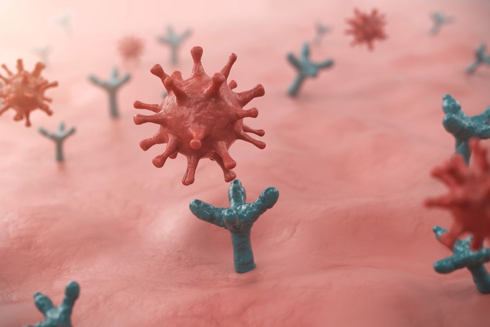 Dördüncü doz corona virüs aşısı Omicron'a karşı koruyor mu? İsrail ilk sonuçları paylaştı - 6