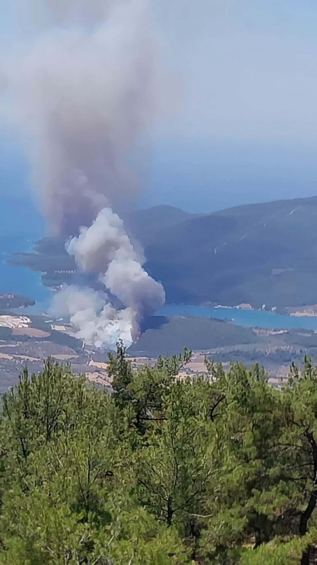 Muğla Milas’ta yerleşim bölgesine yakın noktada orman yangını: Alevlerin önü kesildi