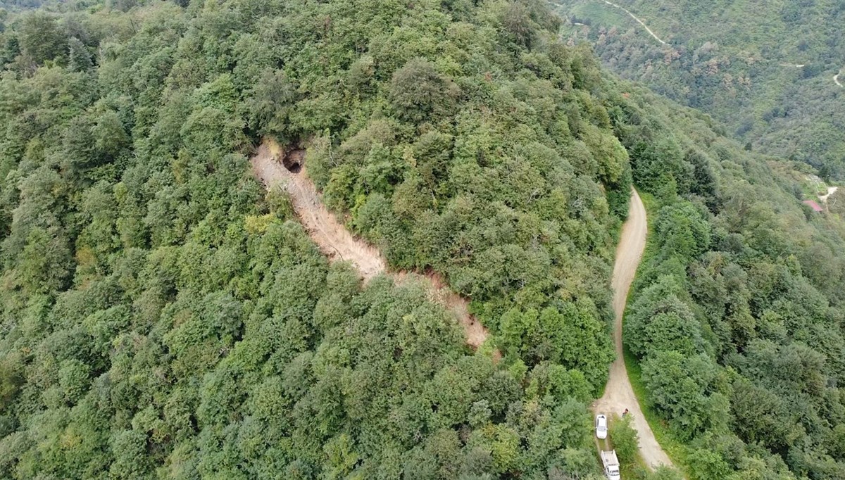 Define için ormanda yol açtılar