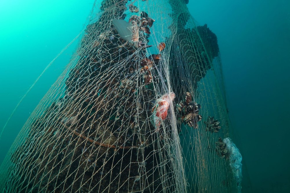 Hitler'in kayıp denizaltısı Sakarya'da görüntülendi - 3