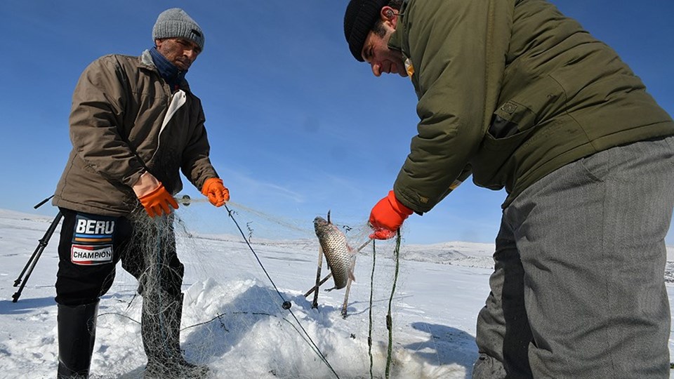 Donan Çıldır Gölü'nde eskimo usulü balık avlıyorlar - 3