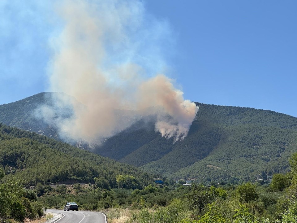 Çanakkale ve Hatay'da orman yangını - 1