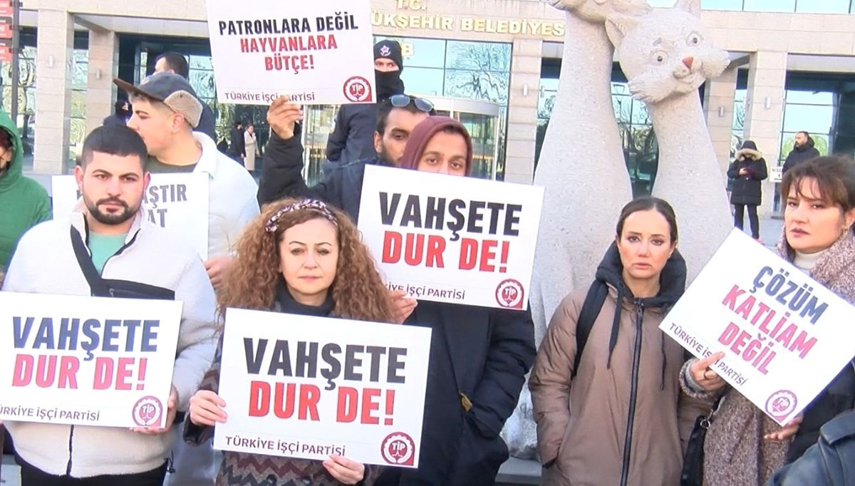 Ankara'da sokak köpeklerinin toplanmasına tepki Ankara'da sokak köpeklerinin toplanmasına tepki