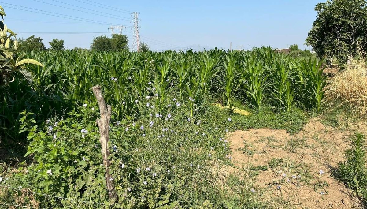 Çıkan kavgada akrabasını öldürdü