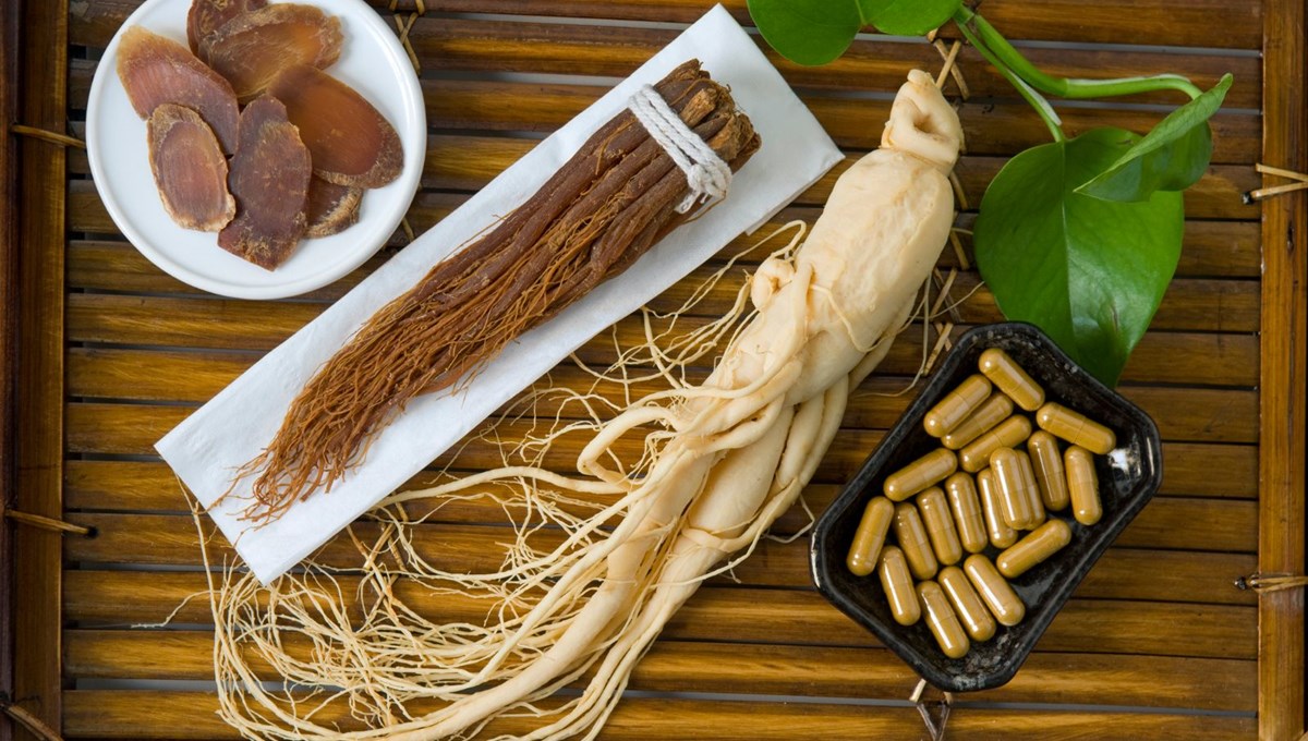 Ginseng (Panax) nedir? Ginseng'in bilinmeyen faydaları nelerdir?