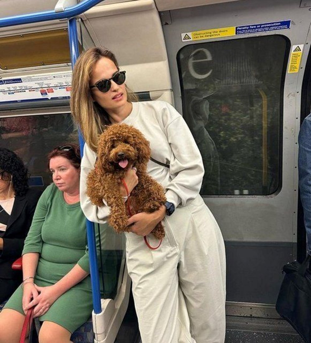 Safiye Soyman metroya bindi: Ben sizden biriyim (Toplu taşıma kullanan ünlüler) 95 MJ P2a9oEkGJdaZevl56bA