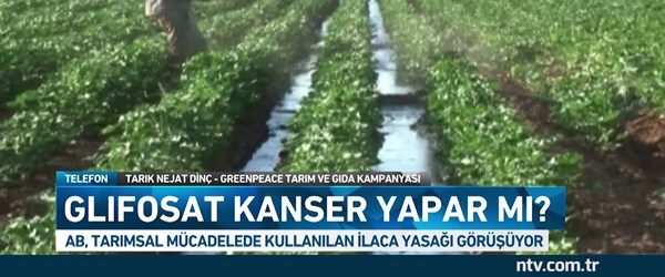 Glifosat nedir? Kanser yapar mı?