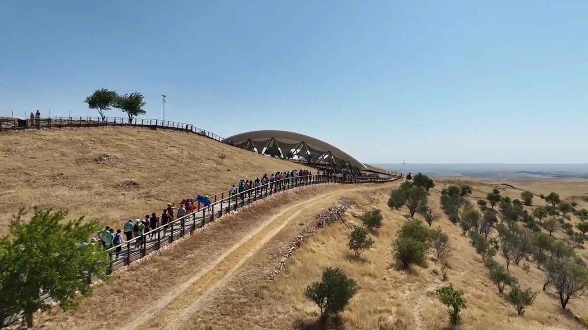 Göbeklitepe'de ağaç dikme iddialarına yalanlama