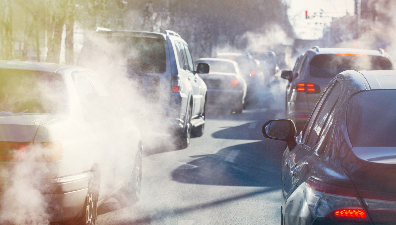 AP'den dizel ve benzinli araçların satışının yasaklanmasına onay