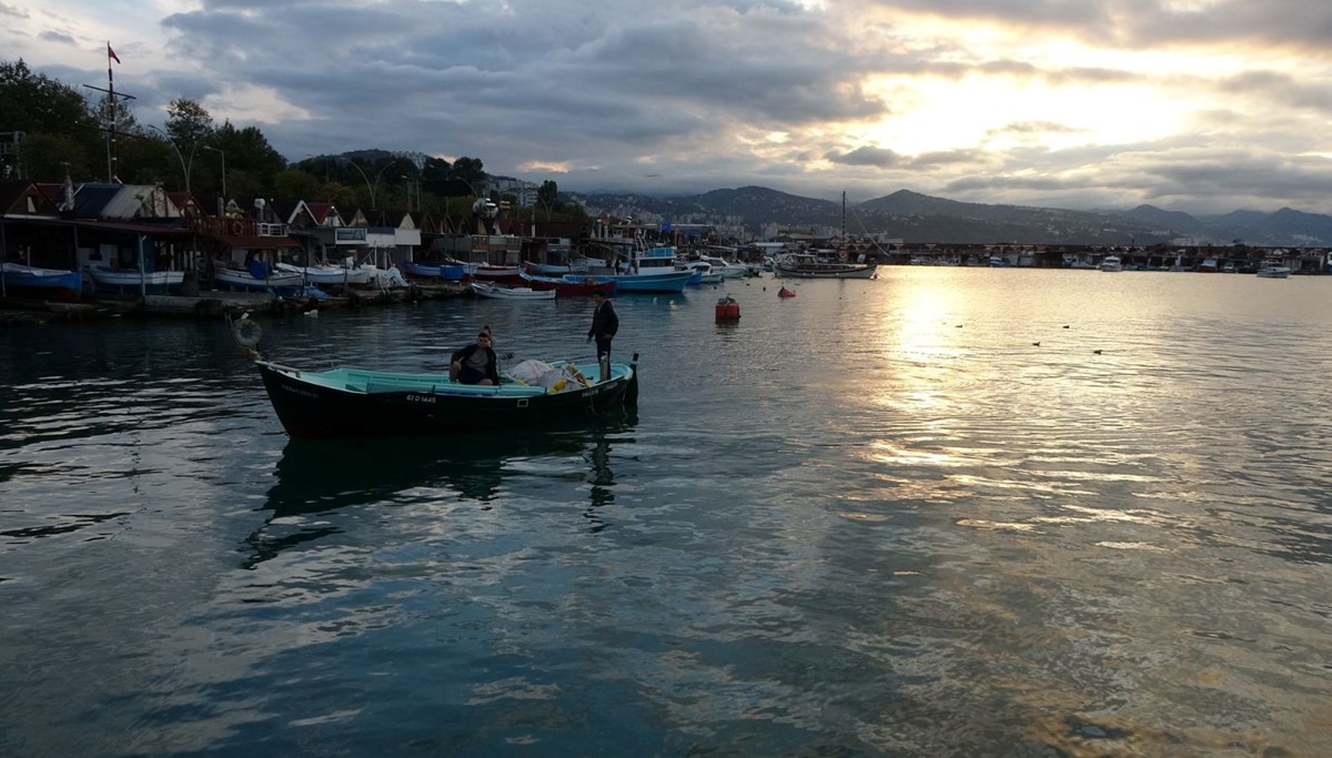 Palamutun pek olmayışı en çok onları etkiledi: Neredeyse durma noktasına geldi