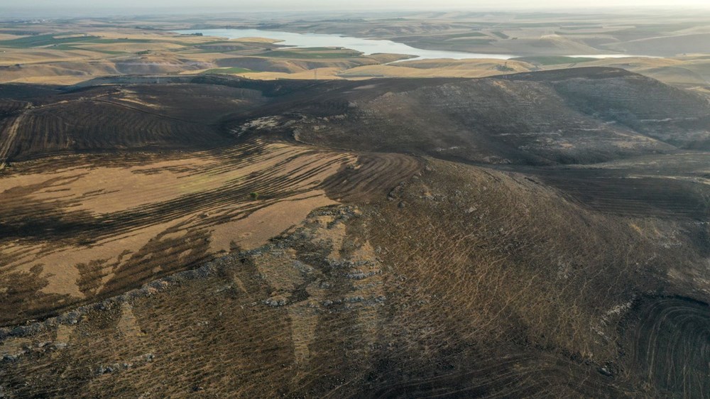 Diyarbakır ve Mardin arasında anız yangını: 5 can kaybı var, 10'u ağır 44 kişi tedavi altında - 8