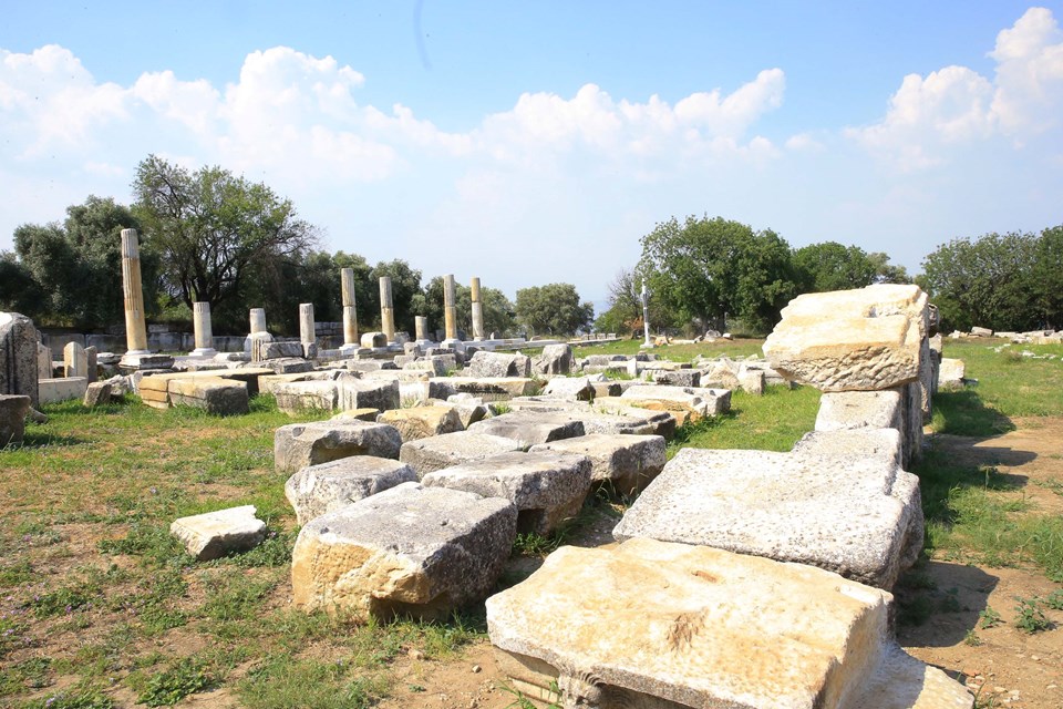 Muğla Lagina Hekate Kutsal Alanı'nda geçmişteki depremlerin izleri araştırılıyor - 4