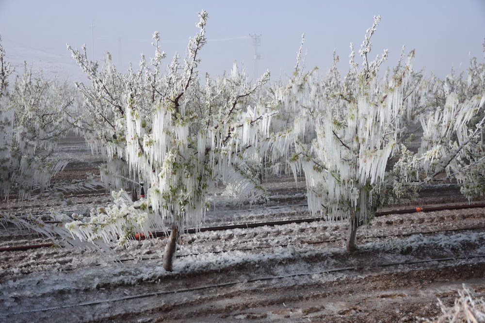 Batıda bahar, doğuda kar: 27 vilayet için sarı kodlu ikaz 75 MP1Gu5RfVkWKaYG5A4Qacg