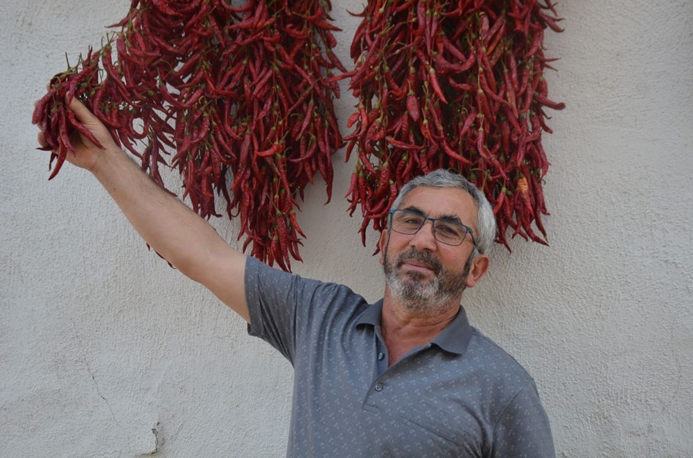 Ona "kırmızı altın" da deniyor: 160 yıldır aynı tohumdan üretiyorlar - 3