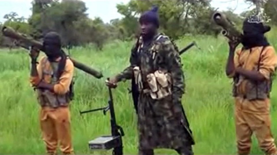 Nijerya'da Boko Haram'a büyük darbe - 1