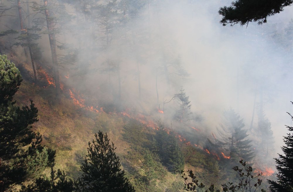 Kastamonu'daki yangın 4 gündür söndürülemiyor - 6