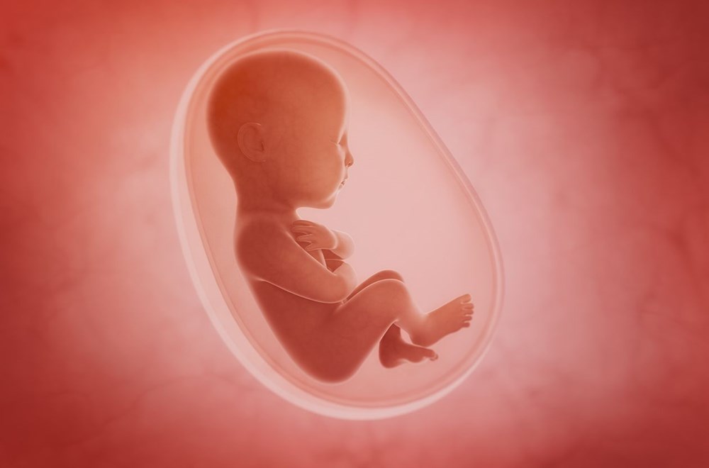 Harvard Üniversitesi: Covid-19’lu hamile ölümlerinin nedeni bebeğin cinsiyeti olabilir - 9