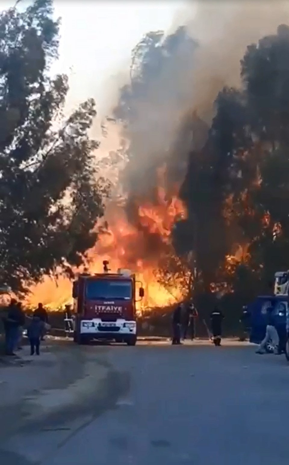 Antalya'da sazlık alanda yangın - 1