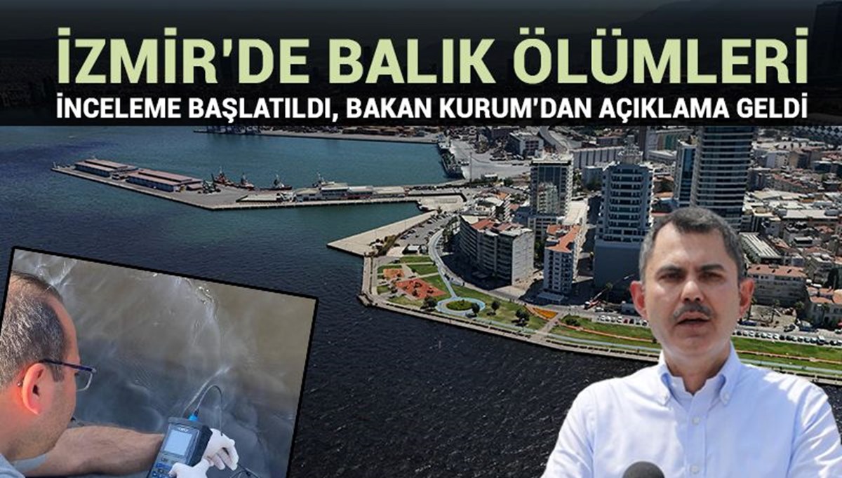 Bakanlık'tan İzmir Körfezi'ndeki balık ölümlerine ilişkin inceleme Bakanlık'tan İzmir Körfezi'ndeki balık ölümlerine ilişkin inceleme