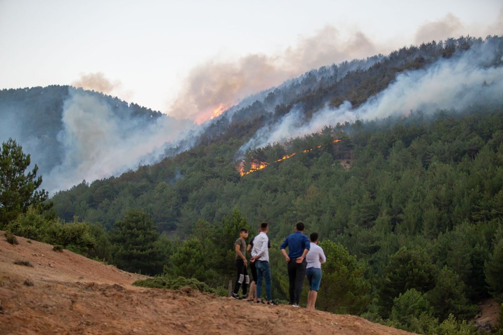 Hatay ve Mersin'de orman yangını - 14